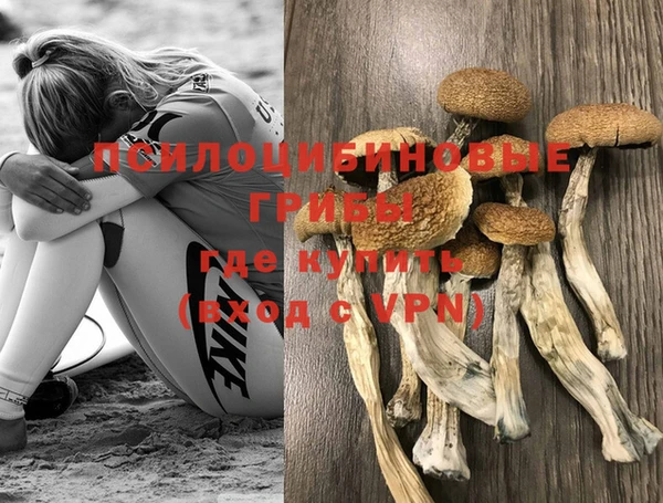 спайс Абдулино