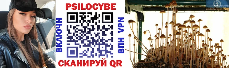 Галлюциногенные грибы прущие грибы  закладка  Нягань 